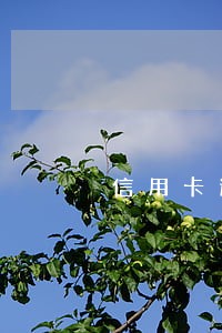 信用卡逾期买到高铁票能坐吗 信用卡逾期买到高铁票能坐吗