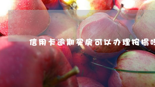 信用卡逾期买房可以办理按揭吗 信用卡逾期买房可以办理按揭吗