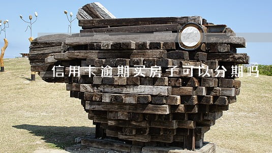 信用卡逾期买房子可以分期吗 信用卡逾期买房子可以分期吗