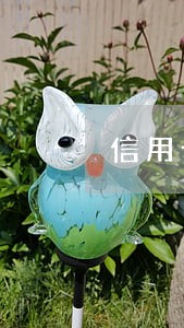 信用卡逾期买房怎么搞
