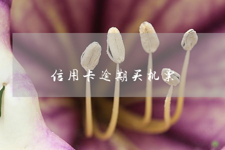 信用卡逾期买机票 信用卡逾期买机票