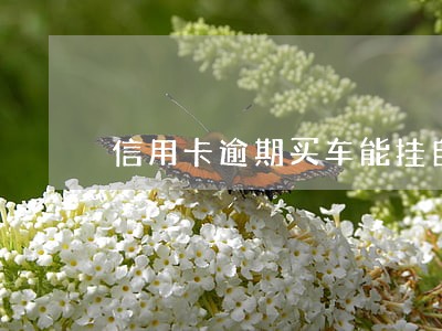 信用卡逾期买车能挂自己名下 信用卡逾期买车能挂自己名下