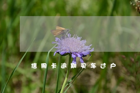 信用卡逾期买车过户