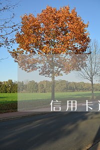 信用卡逾期买车需要担保人吗 信用卡逾期买车需要担保人吗