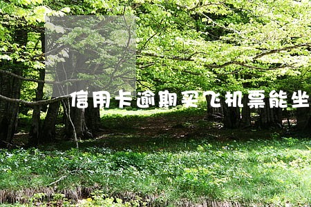 信用卡逾期买飞机票能坐吗 信用卡逾期买飞机票能坐吗