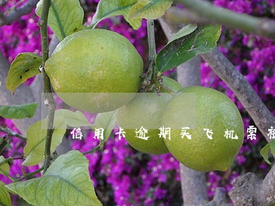 信用卡逾期买飞机票被抓