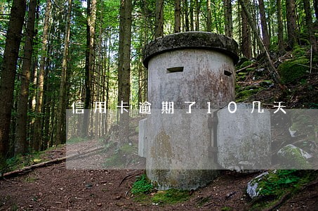 信用卡逾期了10几天 信用卡逾期了10几天