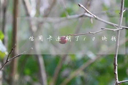 信用卡逾期了10块钱 信用卡逾期了10块钱