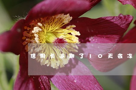 信用卡逾期了10天会冻结吗 信用卡逾期了10天会冻结吗