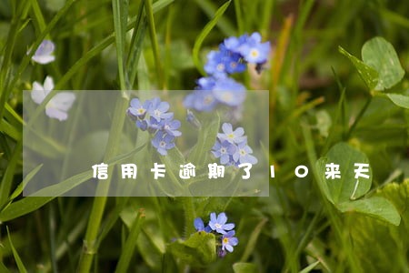 信用卡逾期了10来天 信用卡逾期了10来天
