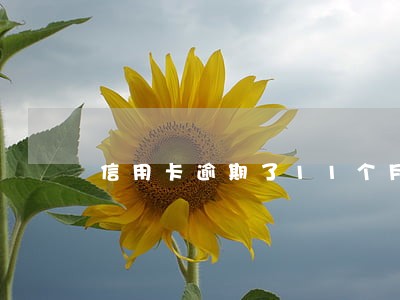 信用卡逾期了11个月怎么办 信用卡逾期了11个月怎么办