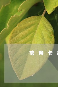 信用卡逾期了12天200块钱 信用卡逾期了12天200块钱