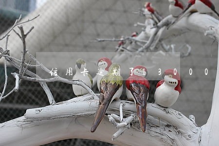 信用卡逾期了13000 信用卡逾期了13000