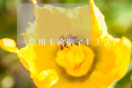 信用卡逾期了13天严重吗 信用卡逾期了13天严重吗