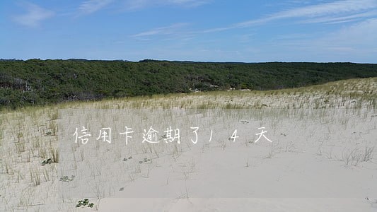 信用卡逾期了14天 信用卡逾期了14天