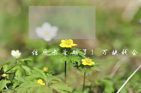 信用卡逾期了1万块钱会上门吗