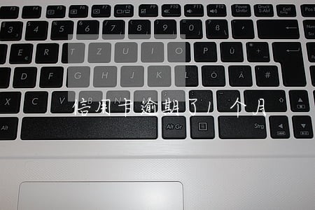 信用卡逾期了1个月 信用卡逾期了1个月