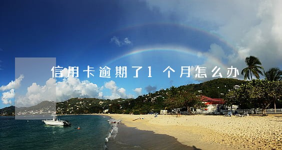 信用卡逾期了1个月怎么办 信用卡逾期了1个月怎么办