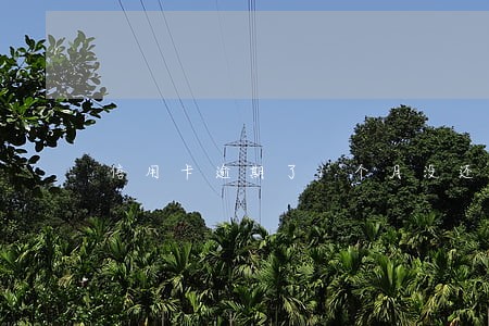 信用卡逾期了1个月没还 信用卡逾期了1个月没还