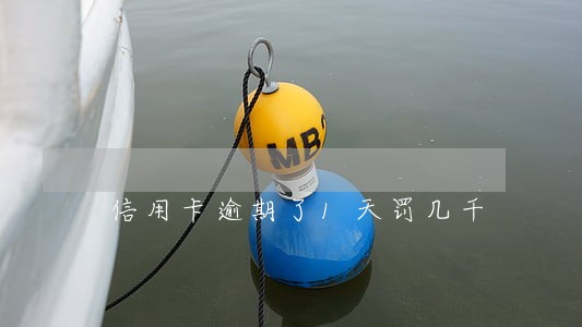 信用卡逾期了1天罚几千 信用卡逾期了1天罚几千