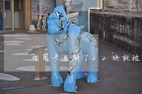 信用卡逾期了22块就被上征信了 信用卡逾期了22块就被上征信了