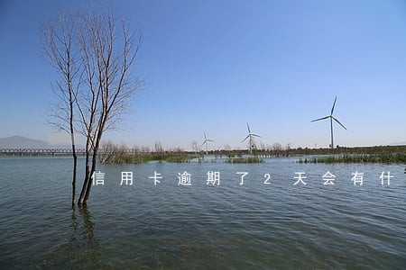 信用卡逾期了2天会有什么后果 信用卡逾期了2天会有什么后果