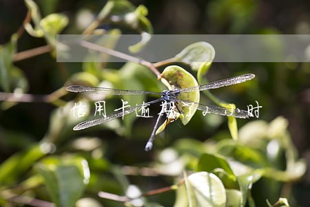 信用卡逾期了2小时 信用卡逾期了2小时