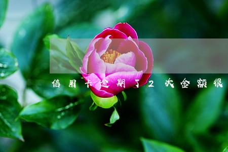 信用卡逾期了2次金额很小 信用卡逾期了2次金额很小