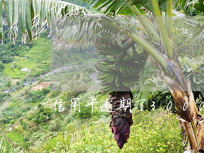 信用卡逾期了3000多说要上门