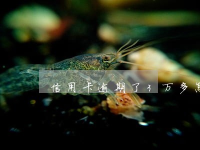 信用卡逾期了3万多怎么办