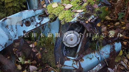信用卡逾期了3个月了怎么办 信用卡逾期了3个月了怎么办