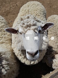信用卡逾期了3个月会怎么样 信用卡逾期了3个月会怎么样