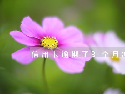 信用卡逾期了3个月冻结 信用卡逾期了3个月冻结
