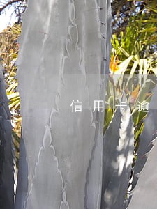 信用卡逾期了3天怎么消除 信用卡逾期了3天怎么消除
