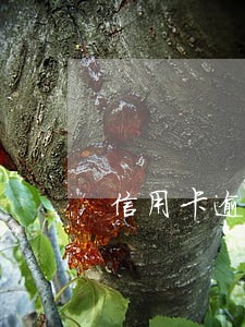 信用卡逾期了4个月没 信用卡逾期了4个月没
