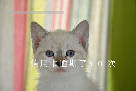 信用卡逾期了50次 信用卡逾期了50次