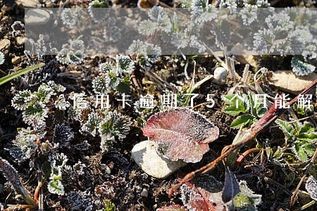 信用卡逾期了5个月能解冻吗 信用卡逾期了5个月能解冻吗