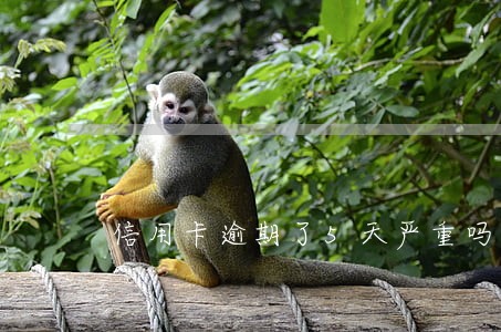 信用卡逾期了5天严重吗 信用卡逾期了5天严重吗
