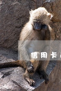 信用卡逾期了6天影响 信用卡逾期了6天影响