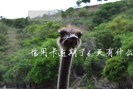 信用卡逾期了6天有什么影响 信用卡逾期了6天有什么影响