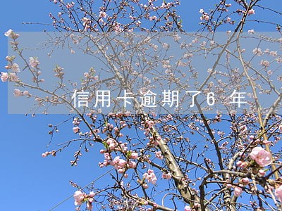信用卡逾期了6年 信用卡逾期了6年