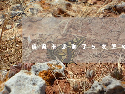 信用卡逾期了6次怎么消除征信 信用卡逾期了6次怎么消除征信
