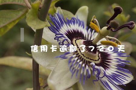 信用卡逾期了720天