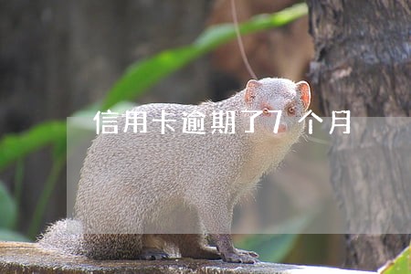 信用卡逾期了7个月 信用卡逾期了7个月