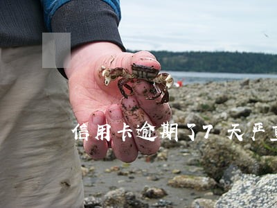 信用卡逾期了7天严重吗中行 信用卡逾期了7天严重吗中行