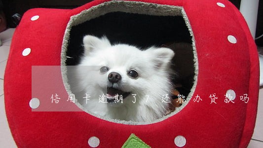 信用卡逾期了7还能办贷款吗 信用卡逾期了7还能办贷款吗