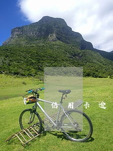 信用卡逾期了800天 信用卡逾期了800天