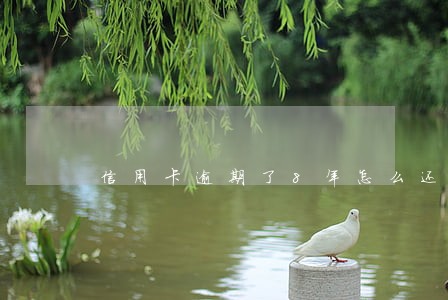 信用卡逾期了8年怎么还款 信用卡逾期了8年怎么还款
