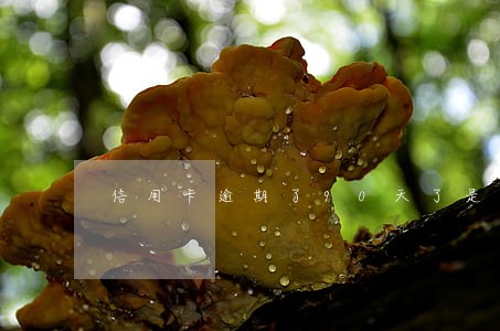 信用卡逾期了90天了是个坎