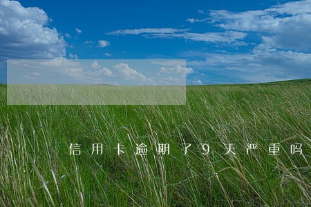 信用卡逾期了9天严重吗 信用卡逾期了9天严重吗